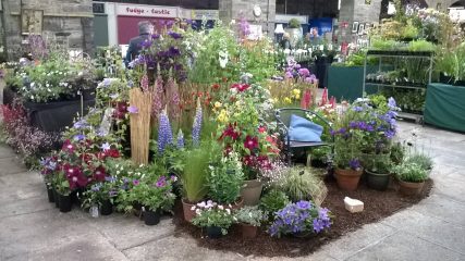 Wendy Hicks' winning display garden